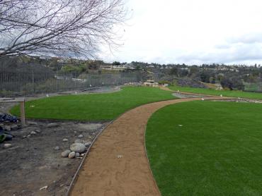 Artificial Grass Photos: Artificial Pet Turf Calimesa California Back and Front Yard